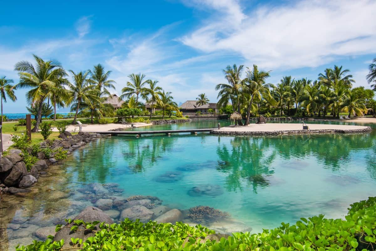 Natural swimming pool surrounded by palm trees.