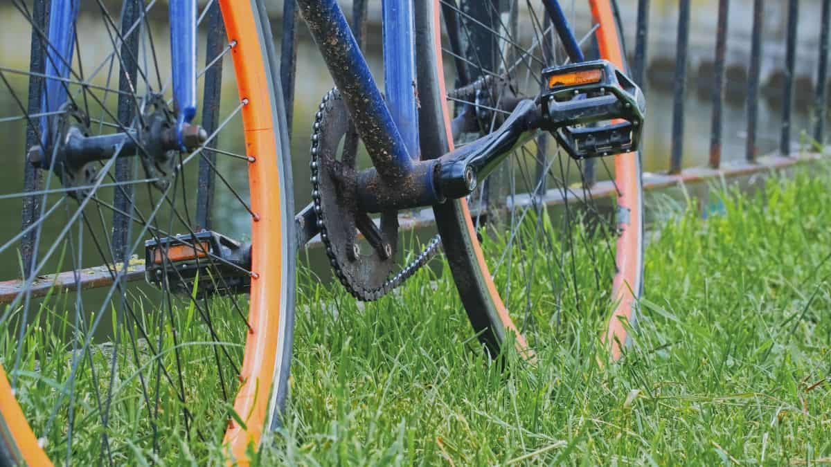 Details of a single speed bike.