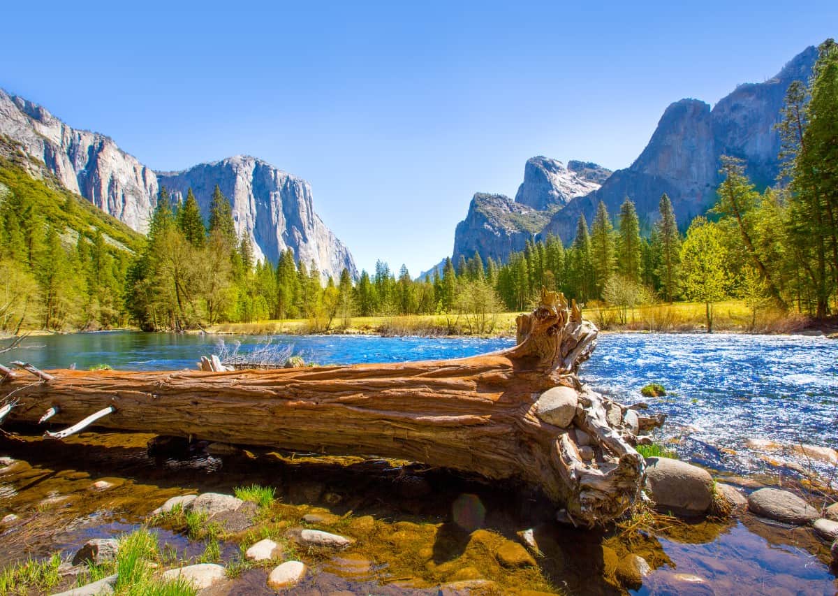 Yosemite National Park with towering mountains and lush forest.